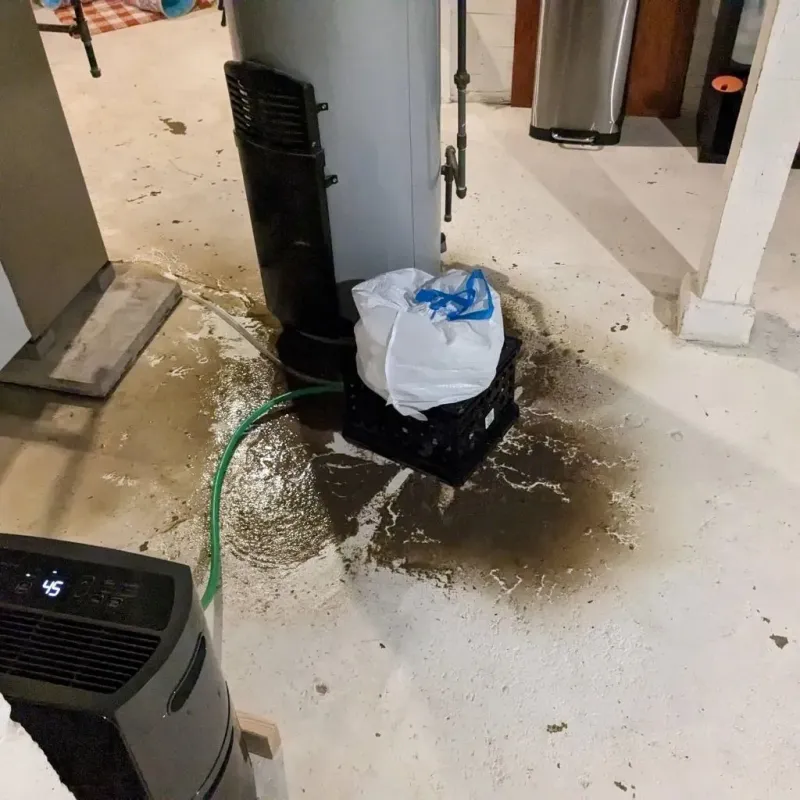 Sewage Backup Cleanup Service in Monticello, MS